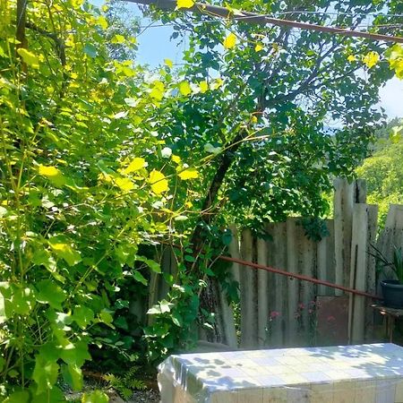 Guest House Gogias Cixe Borjomi Ngoại thất bức ảnh