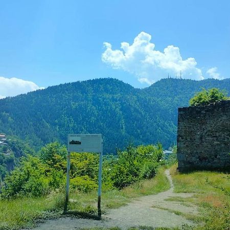 Guest House Gogias Cixe Borjomi Ngoại thất bức ảnh