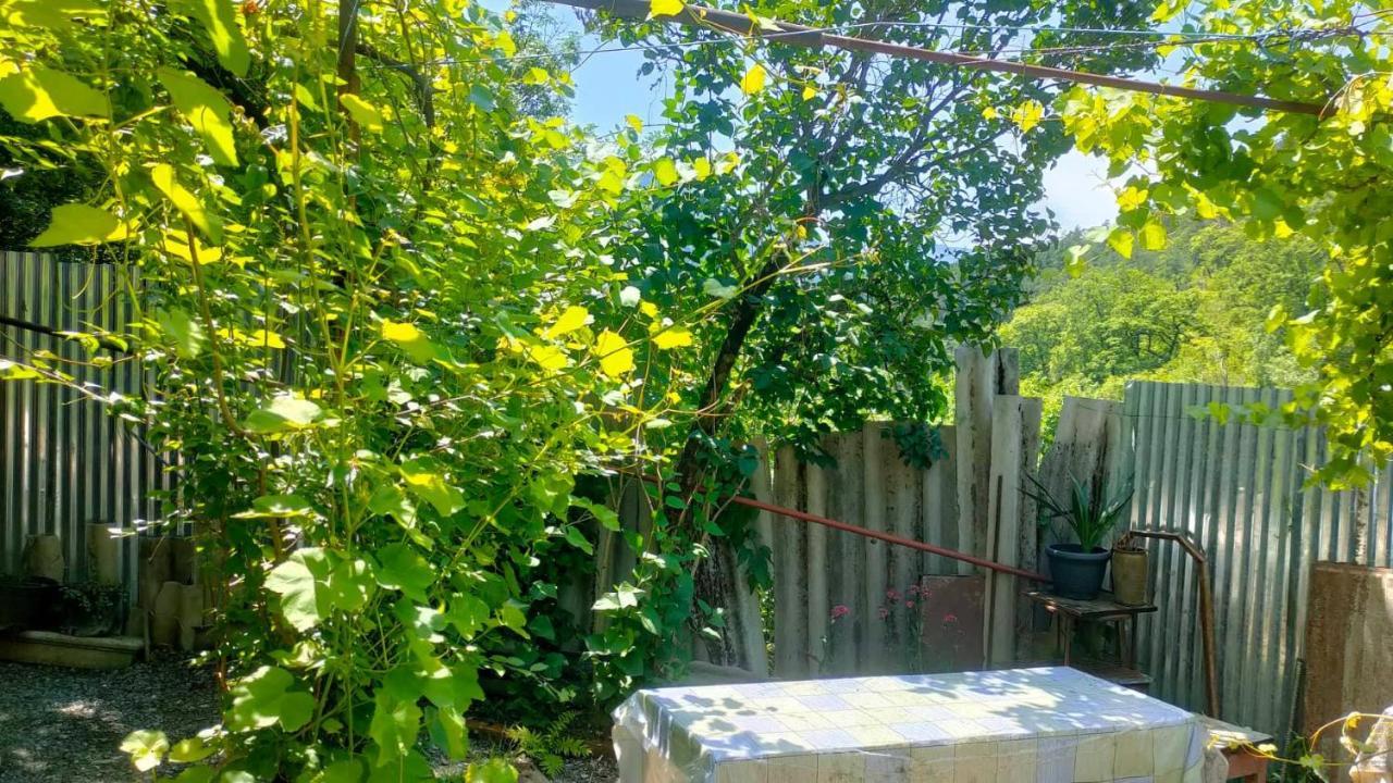 Guest House Gogias Cixe Borjomi Ngoại thất bức ảnh