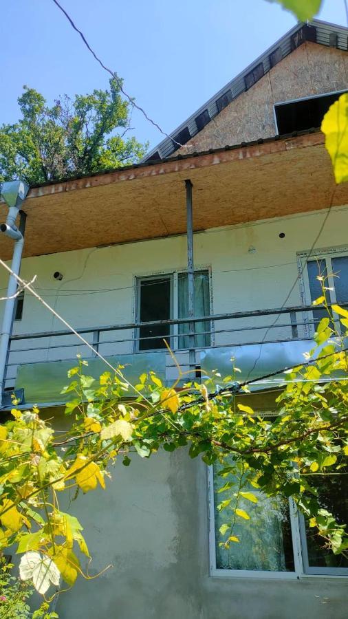 Guest House Gogias Cixe Borjomi Ngoại thất bức ảnh