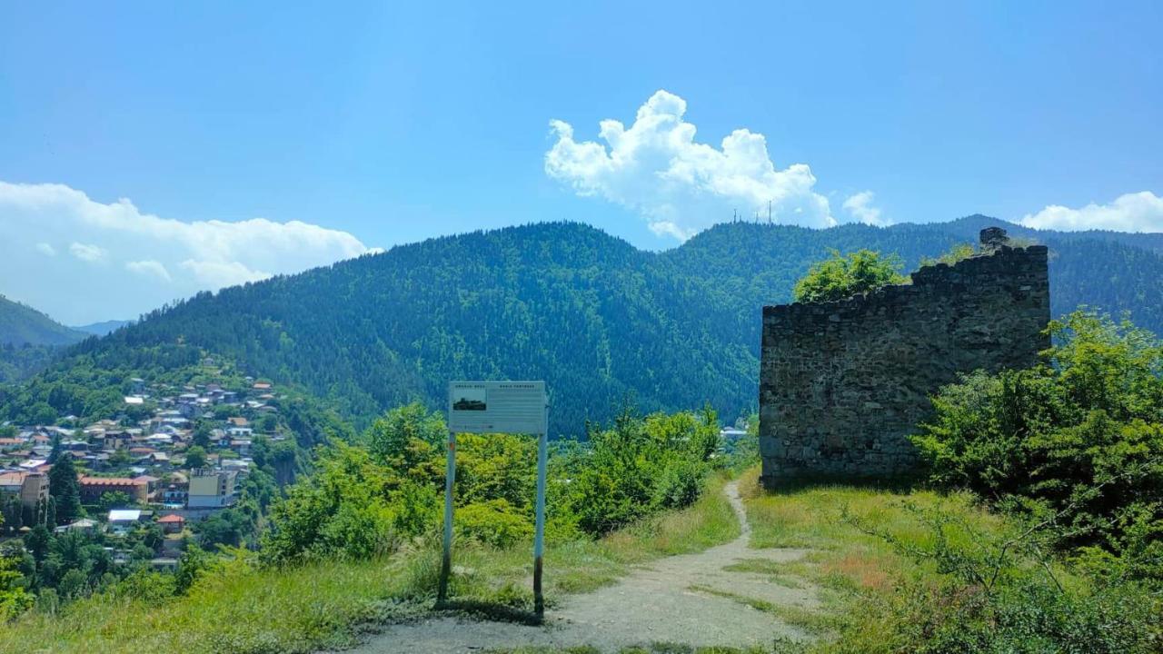 Guest House Gogias Cixe Borjomi Ngoại thất bức ảnh