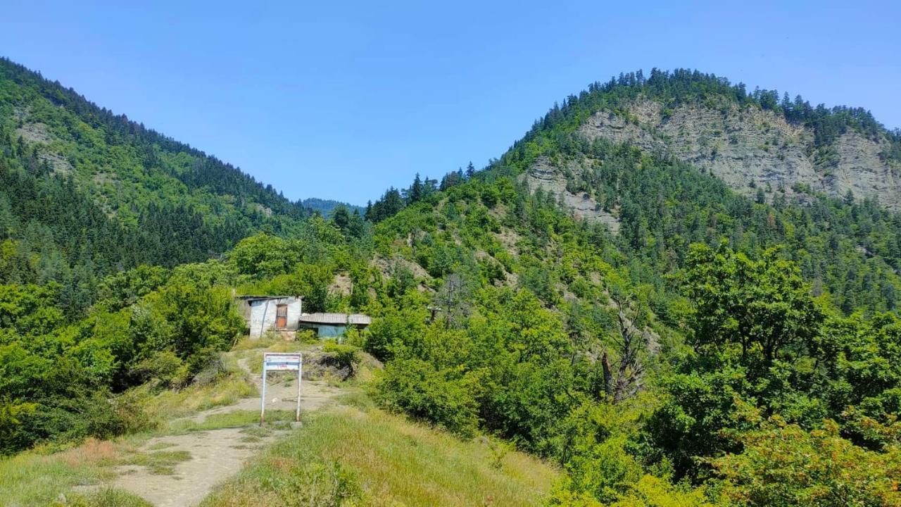 Guest House Gogias Cixe Borjomi Ngoại thất bức ảnh