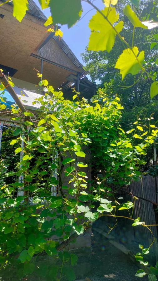 Guest House Gogias Cixe Borjomi Ngoại thất bức ảnh