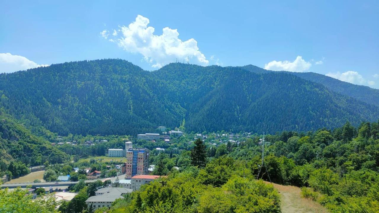 Guest House Gogias Cixe Borjomi Ngoại thất bức ảnh
