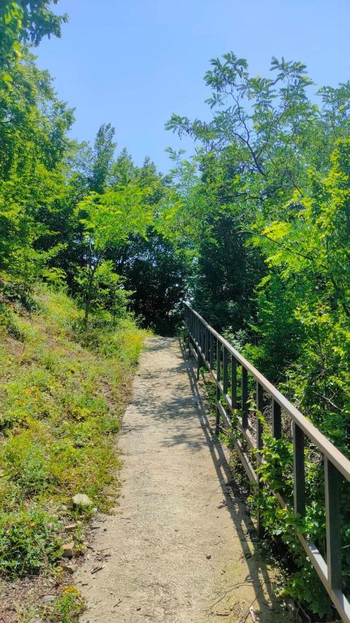 Guest House Gogias Cixe Borjomi Ngoại thất bức ảnh