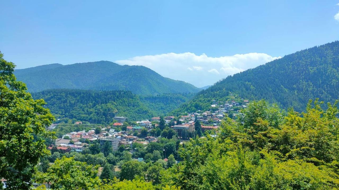 Guest House Gogias Cixe Borjomi Ngoại thất bức ảnh