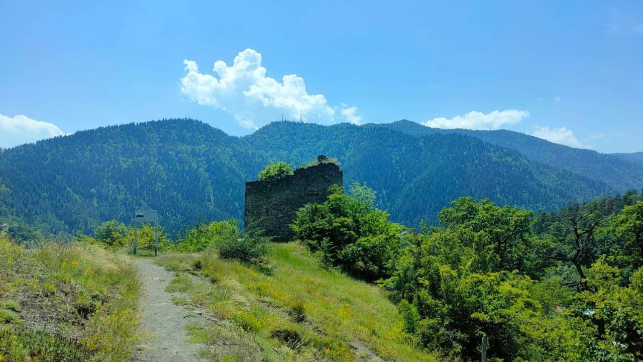 Guest House Gogias Cixe Borjomi Ngoại thất bức ảnh